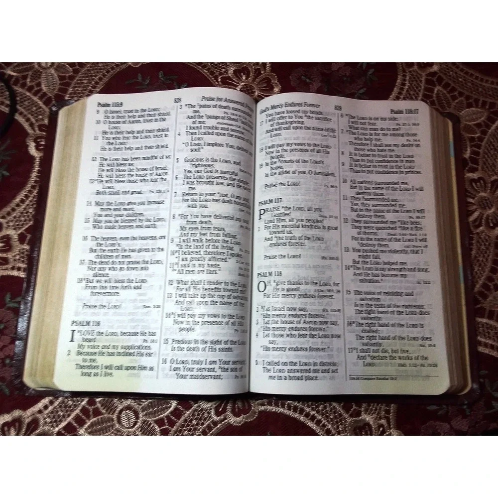 New‎ King James Version Holy Bible Wine Color Leather GIANT PRINT